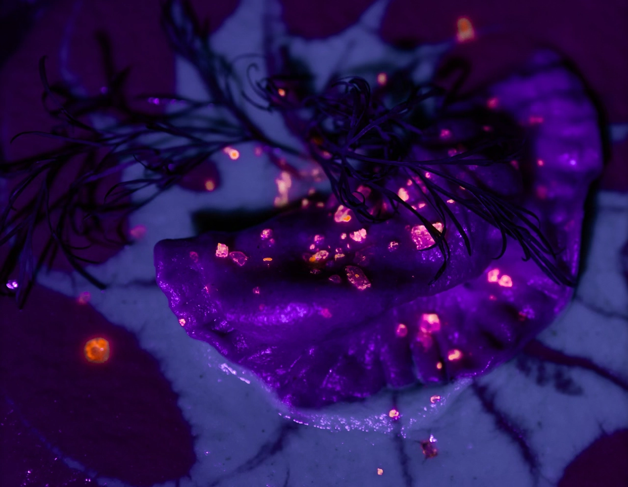 Bild von einer Teigtasche